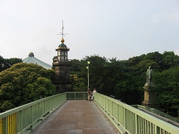 IMG_2861.jpg